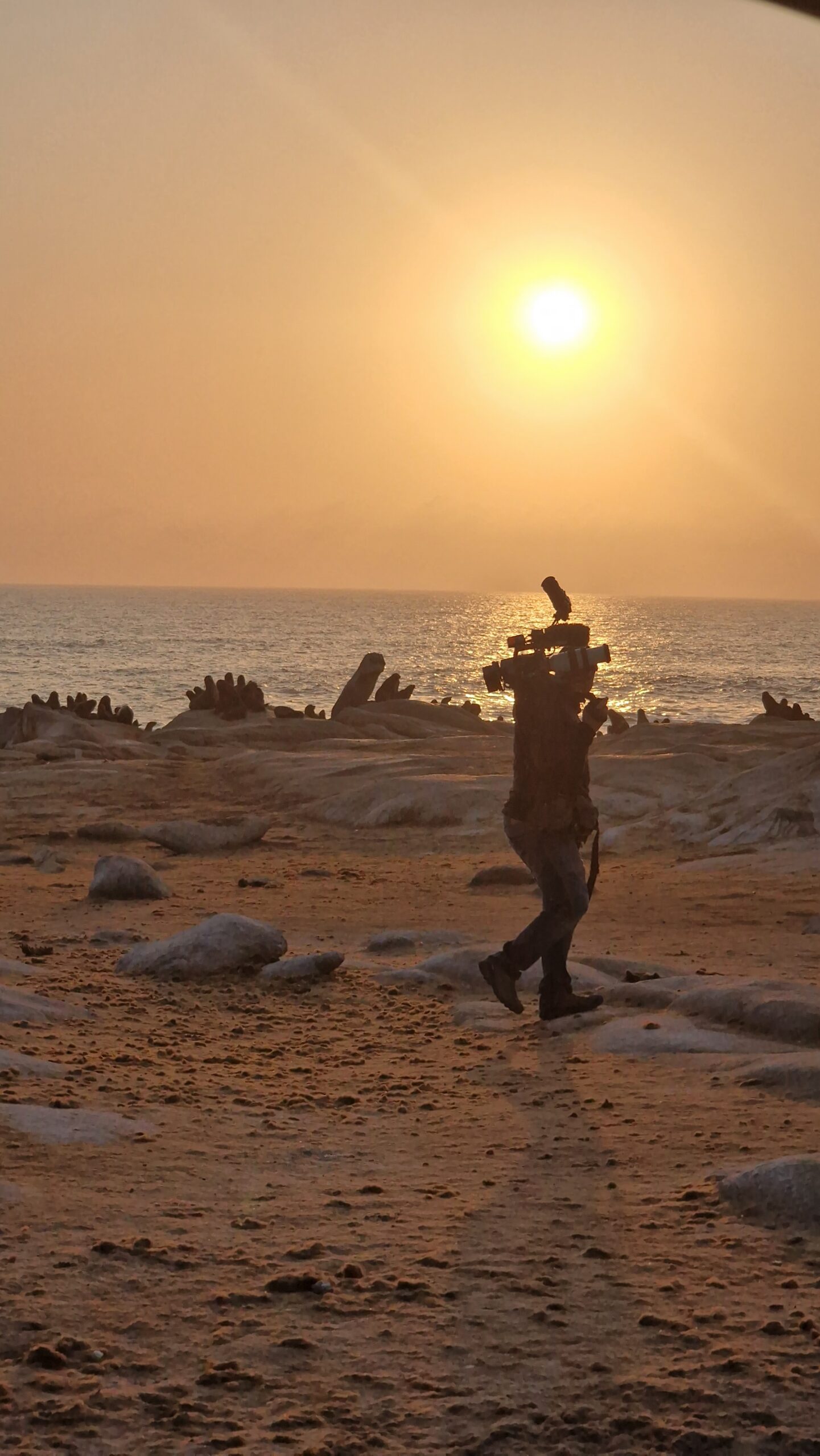 Thalassa — selected production image